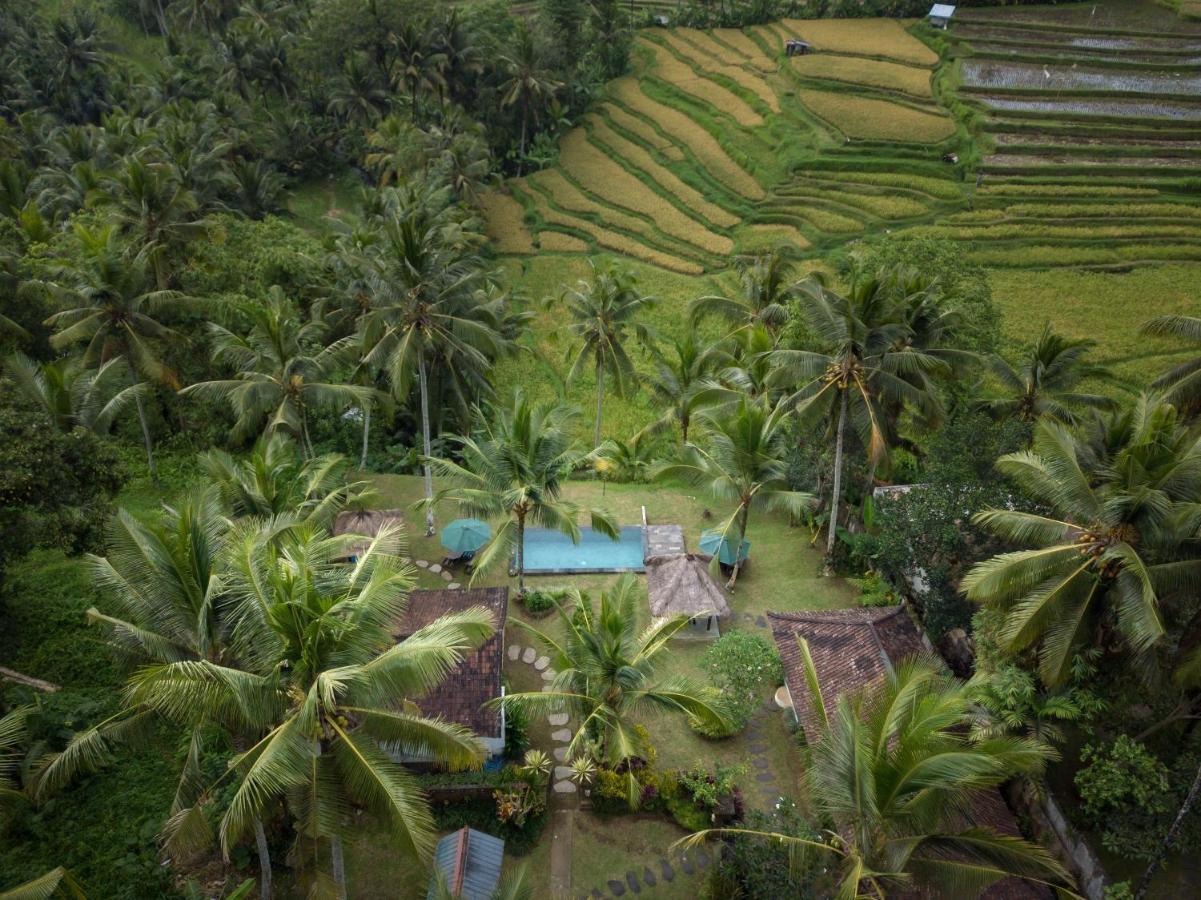Green Sari Private Villa Ubud  Exterior photo